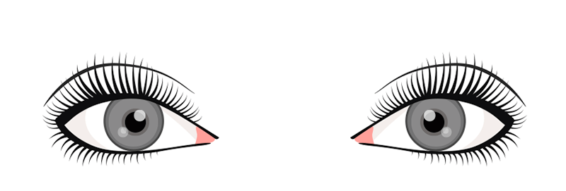 shape-natural-eyelash