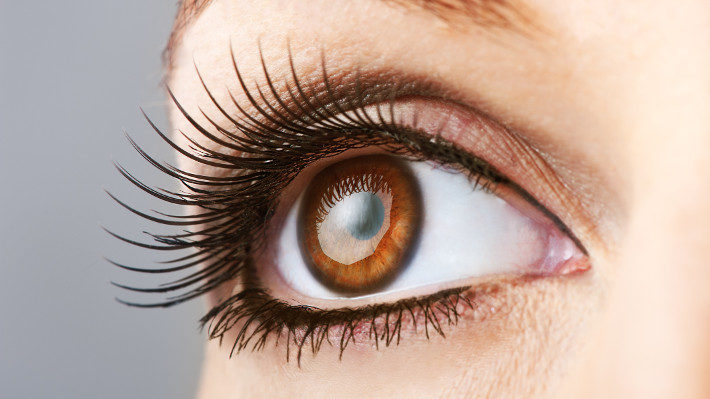 Lash Length: How Long Should Your Lash Extensions Be?