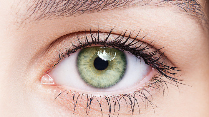 Lash Shedding: Common Causes and How to Prevent Them Lash Shedding: Common Causes and How to Prevent Them